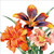 BS77255 - Day Lilies (1 blank card)