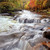 SM14271 - Autumn River (1 blank card)