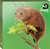 WAL91162 - TWT British Mammals (1 wallet of 8 cards)