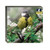 WAL00171 - SongBird Survival (1 wallet of 8 cards)