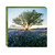 WAL11170 - Floral Landscapes (1 wallet of 8 cards)