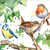 RT84605 - Three Little Birds (1 blank card)