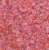 Czech Seed Bead 10/0 Tr Pink Mix Luster 22g Vial