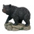 Black Bear On Rock