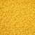 Czech Seedbead 11/0 Yellow Chalk Dyed Solgel 22g Vial