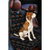 Pet Front Seat Cover