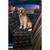 Pet Back Seat Cover