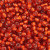 Czech Seed Bead 11/0 Orange S/L 23g Vial