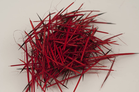 Porcupine Quills Dyed Red 7 Gms
