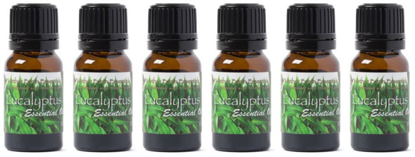 Essential Oil Eucalyptus - 10ml Case Pack (6)