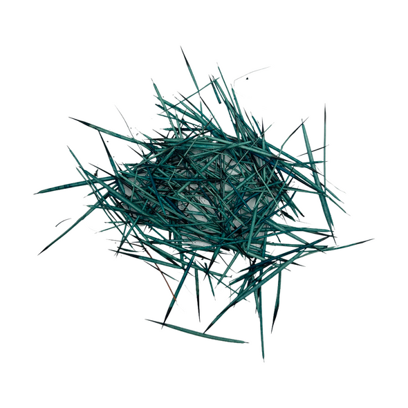 Porcupine Quills Dyed Turquoise