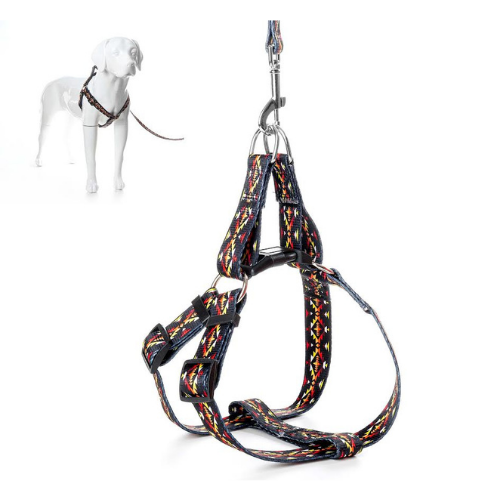 Pet Leash & Harness