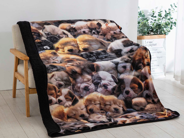 Sherpa Throw Puppy Dreams- 50X60