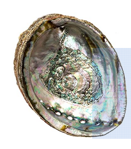 Abalone Shell Smudge Kit With Pouch - Western Varieties