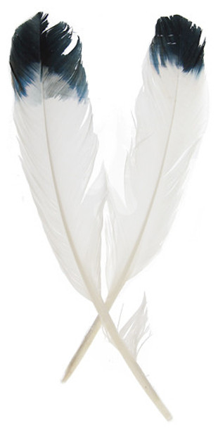 Feather Eagle Imitation 12" Wh/Black