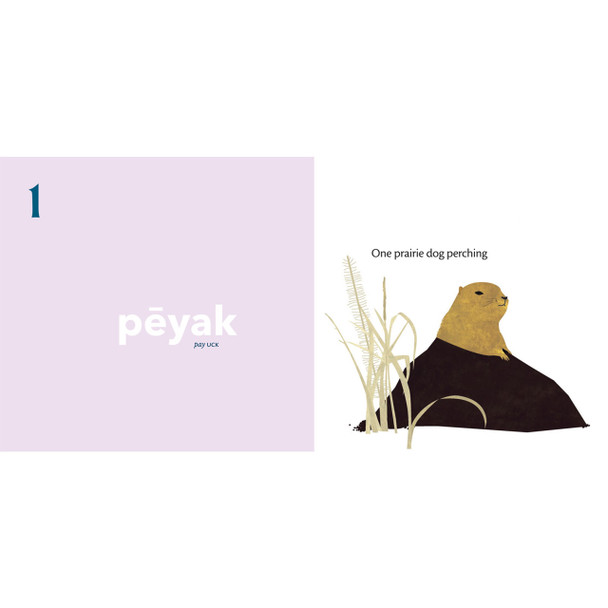 Cree Board Book We All Count Cree By Julie Flett Cree Board Book We All Count Cree By Julie Flett