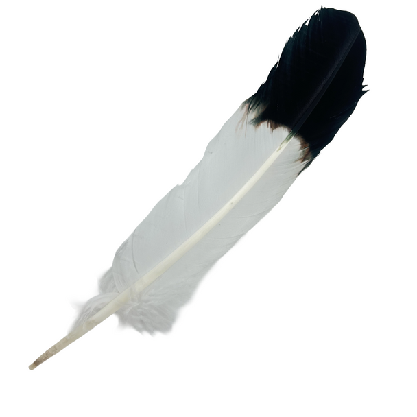 Feather Imitation Eagle 12" Dyed Tip