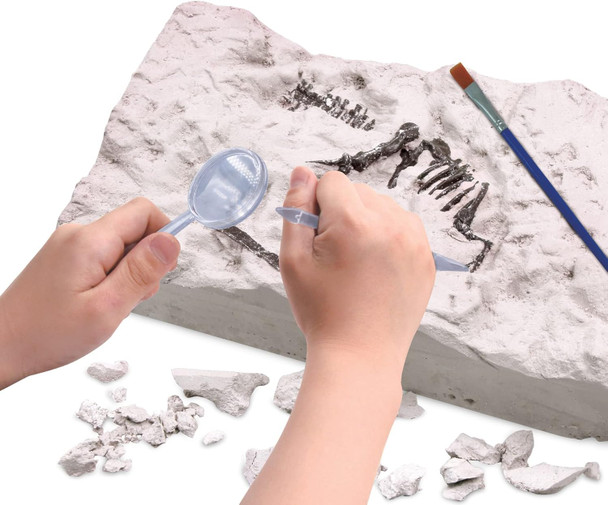Dino Dig Brachiosaurus 5pcs Kit