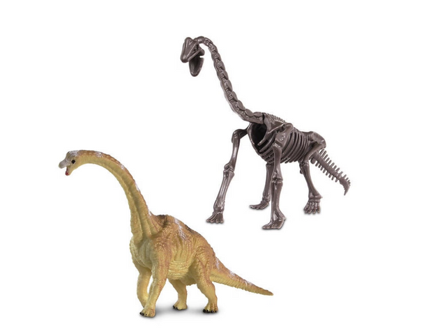 Dino Dig Brachiosaurus 5pcs Kit