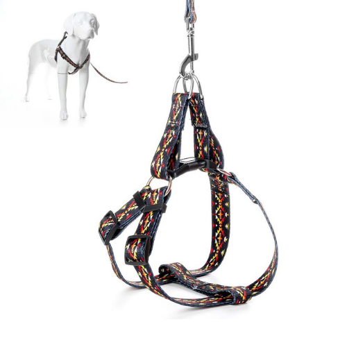 Pet Leash & Harness