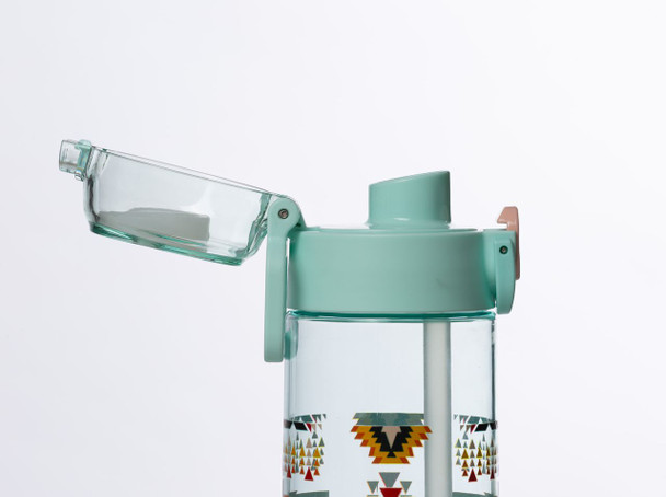 Water Bottle Chief Walking Water 24oz