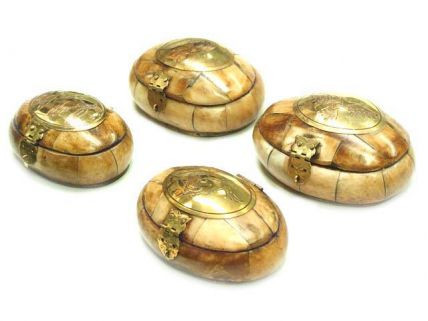 Bone Box  With Skull Plate  3 3/4"L X 2 1/2"W X 1 5/8"H