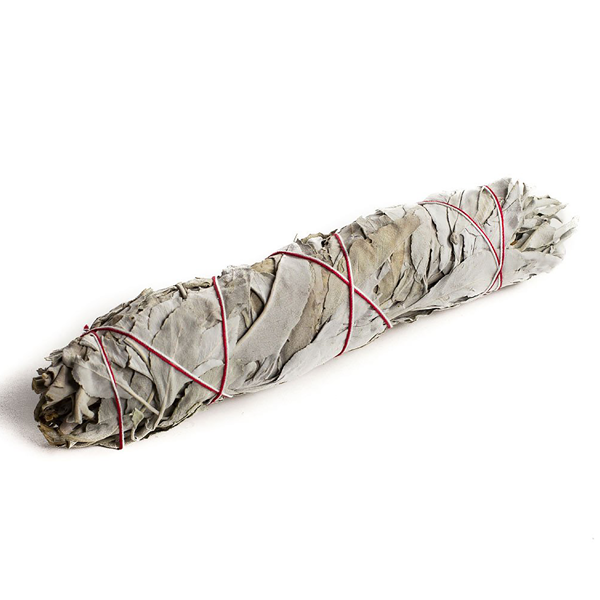 California White Sage Bundle - 9"