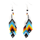 Earrings Double Feather Asst
