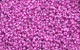 Czech Seedbead 10 Metallic Fuchsia 22g Vial