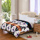 Mink Blanket 2 Ply Twin Size Southwest