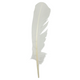 Turkey Feather White - Single