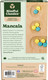 Mancala Board Game Mindful Classics