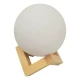 Moon Shape Light Up Humidifier