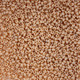 Czech Seed Bead 10/0 Ivory Luster 22g Vial