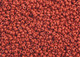 Czech Seed Beads 10/0 Strung Opaque Light Brown