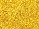 Czech Seed Bead 10/0  S/L Yellow 22g Vial
