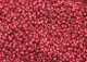 Czech Seed Beads 10/0 Strung Metallic Red