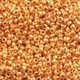 Czech Seed Beads 10/0 Strung Metallic Gold