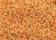 Czech Seed Beads 10/0 Strung Metallic Gold