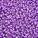 Czech Seed Beads 10/0 Strung Metallic Purple