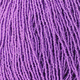 Czech Seed Beads 10/0 Strung Metallic Purple