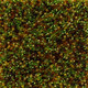 Czech Seedbead 11/0 Harvest Lights Mix 22g Vial