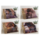 Sherpa Throw Southwest Horses 50X60
