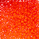 Czech Seed/Pony Bead 6/0 Natural Opaque Orange 22g Vial