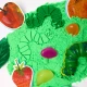 Sensory Bucket The Very Hungry Caterpillar