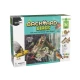 Backyard Birds Feeder