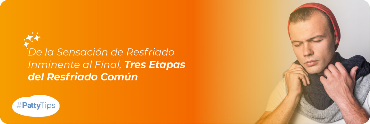 El ciclo de vida de un resfriado: Desde la infección hasta la recuperación  El ciclo de vida de un resfriado: Desde la infección hasta la recuperación