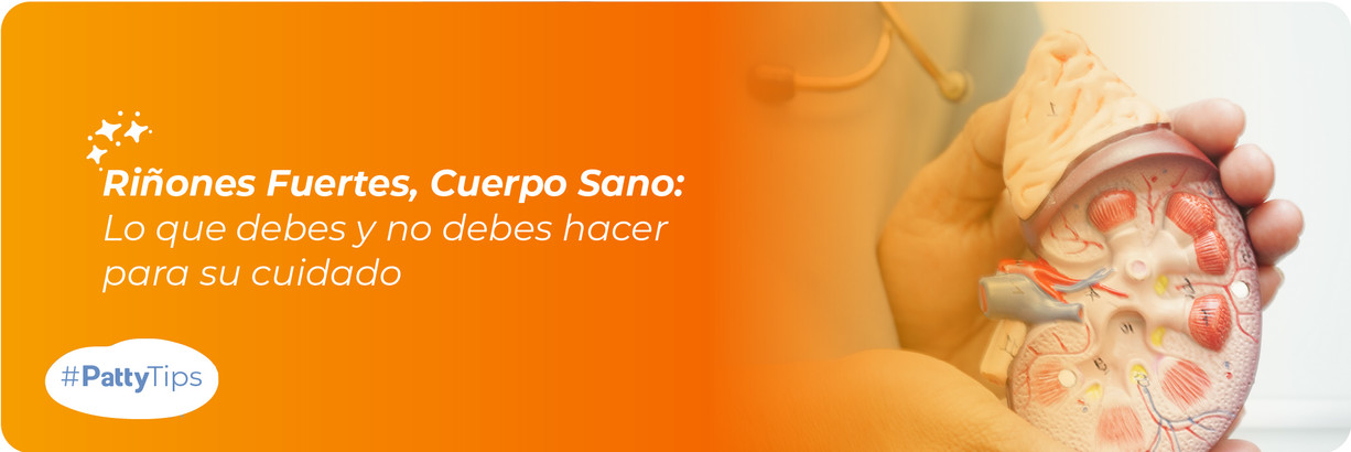 Guía Completa para Cuidar tus Riñones: Lo que Sí y lo que No 