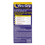 Virogrip P.M. 24 pouches with 2 gel caps_Facts
