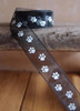 Black Sheer with White Paw Print Ribbon (3 sizes)